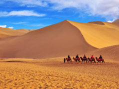 “Esportare Dati invece del Petrolio”: La Nuova Era dell’IA nel Golfo e le Sfide per il Mediterraneo