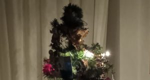 Un Natale pieno di attenzioni per gli altri albero di natale illuminato a metà